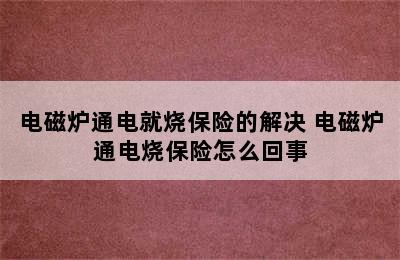 电磁炉通电就烧保险的解决 电磁炉通电烧保险怎么回事